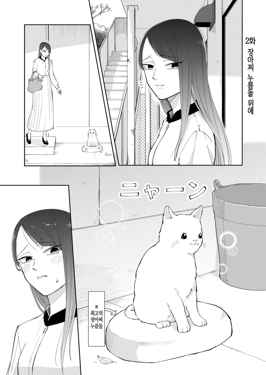 고양이가 있을지 내기하는 만화.manga
