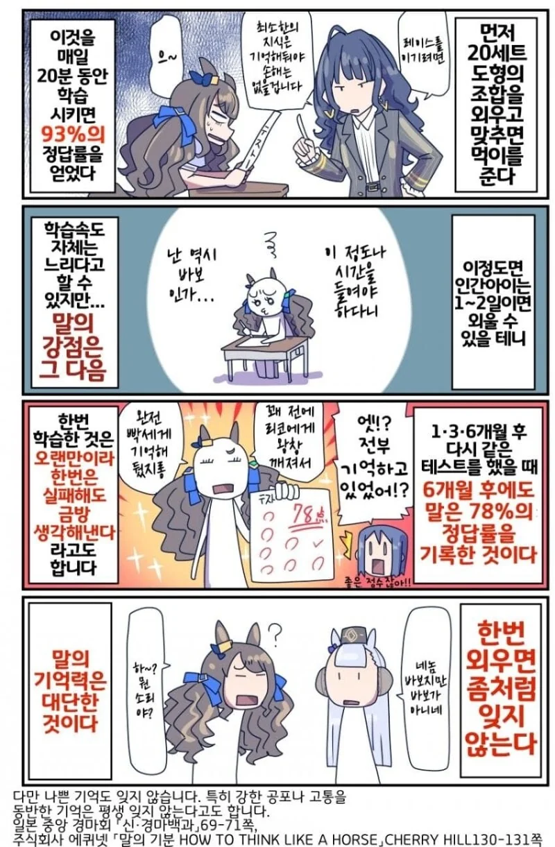 말딸) 말에 대한 이것저것.manhwa - 이미지 2
