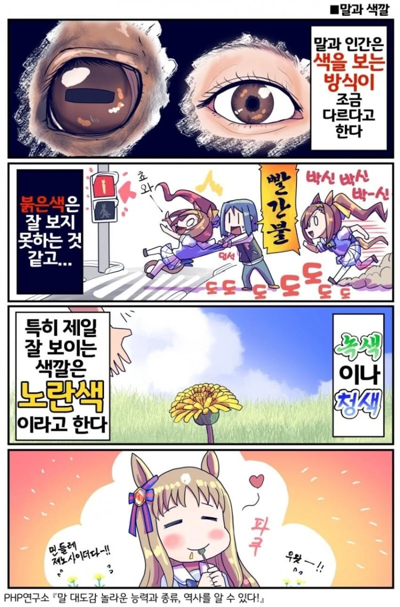 말딸) 말에 대한 이것저것.manhwa - 이미지 5