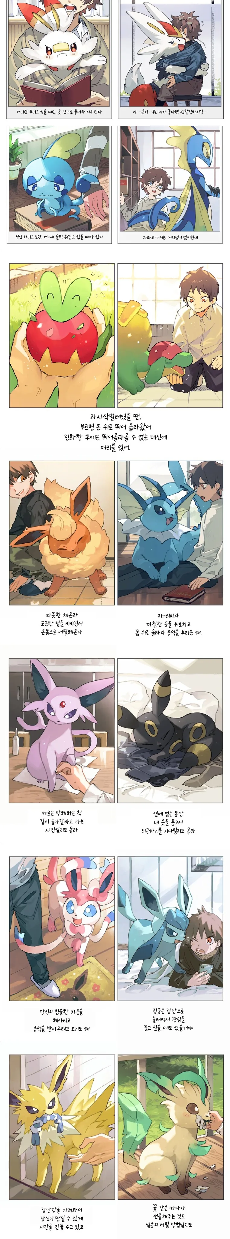 포켓몬) 포켓몬이 있는 일상 - 이미지 5