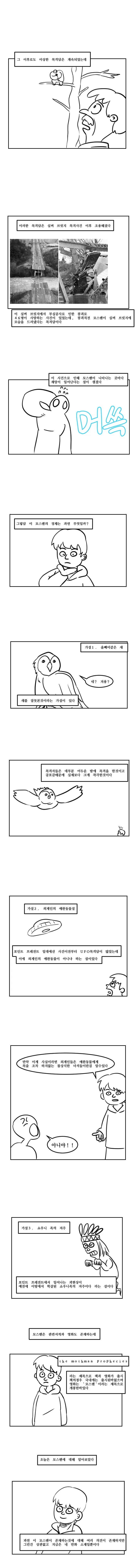모스맨은 무엇인가.manhwa - 이미지 3