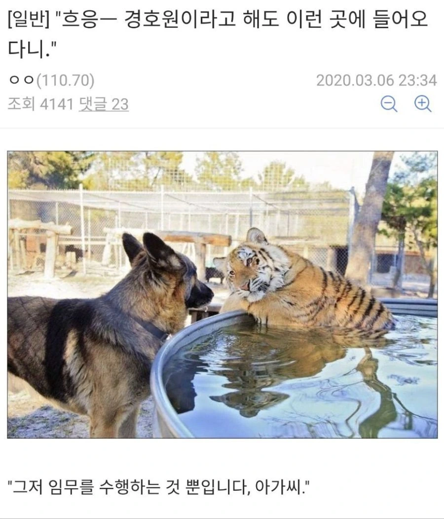 호랑이 아가씨와 댕댕이 경호원.manwha
