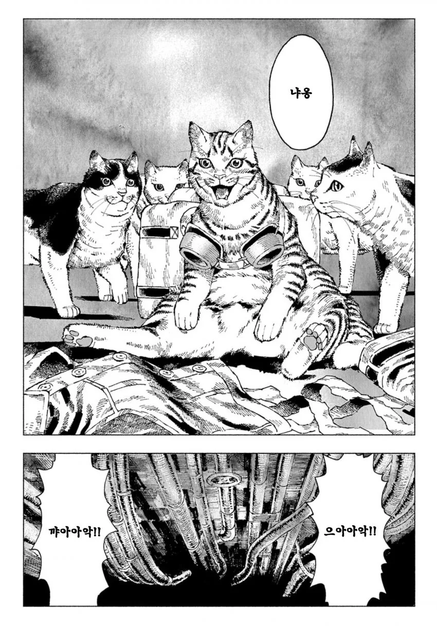 X냥이컷 못한.MANGA - 이미지 6