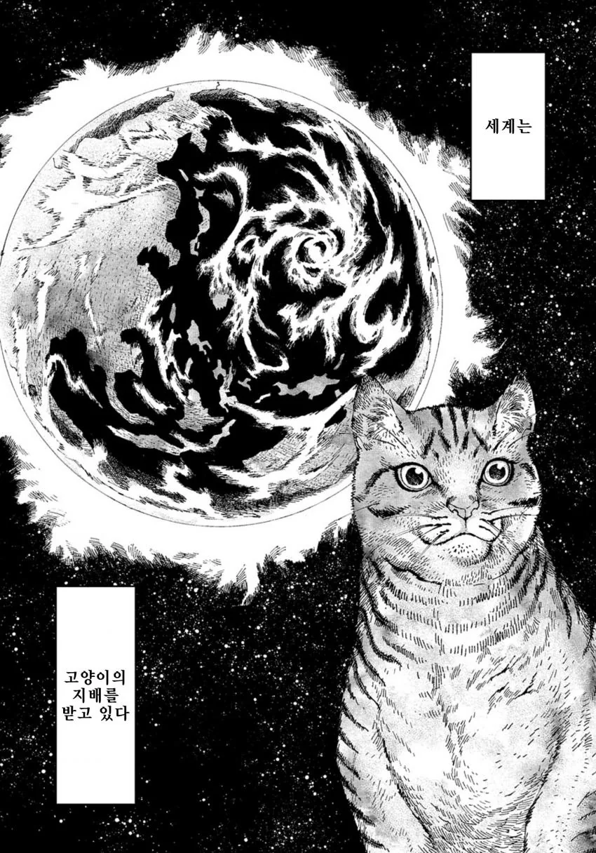 X냥이컷 못한.MANGA - 이미지 7