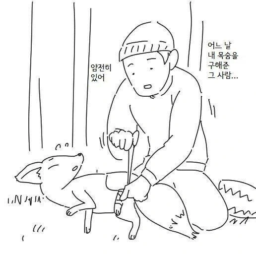 여우랑 결혼하는 만화