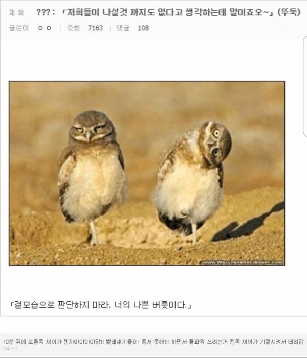 일본 만화의 흔한 클리셰들.jpg - 이미지 2