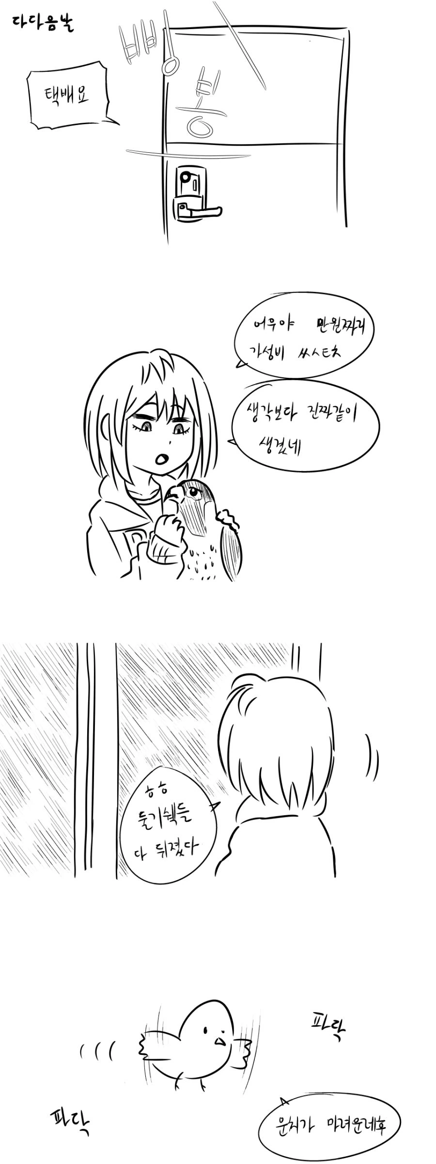 비둘기가 똥 테러해서 짜증나는 여중생 만화 - 이미지 7