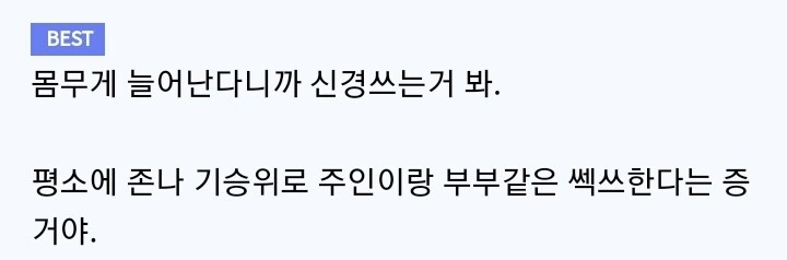 안드로이드 메이드랑 투닥투닥거리는 만화 - 이미지 12