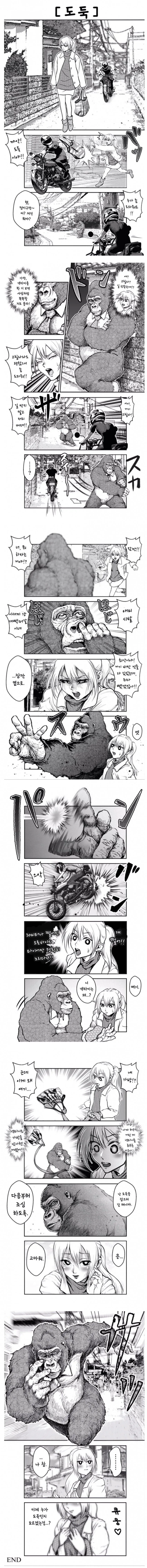 고릴라가 소매치기범을 잡는 만화.manga