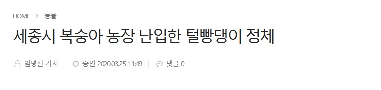 길고양이같은거에 왜그렇게 신경을 써.