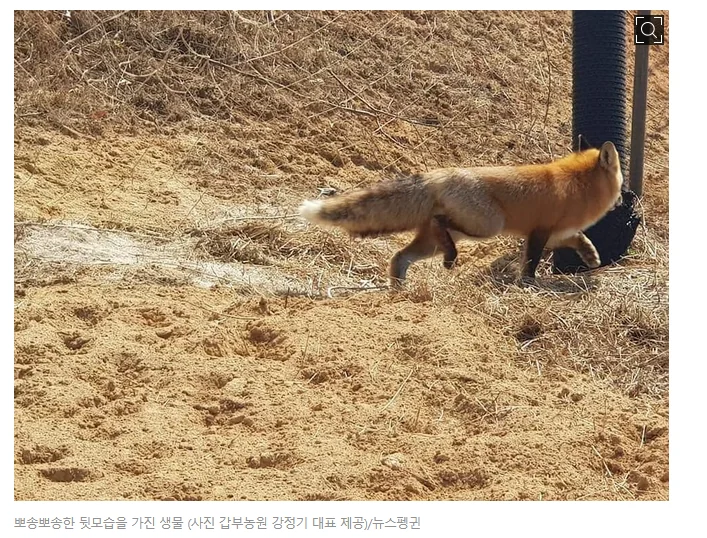 길고양이같은거에 왜그렇게 신경을 써. - 이미지 2