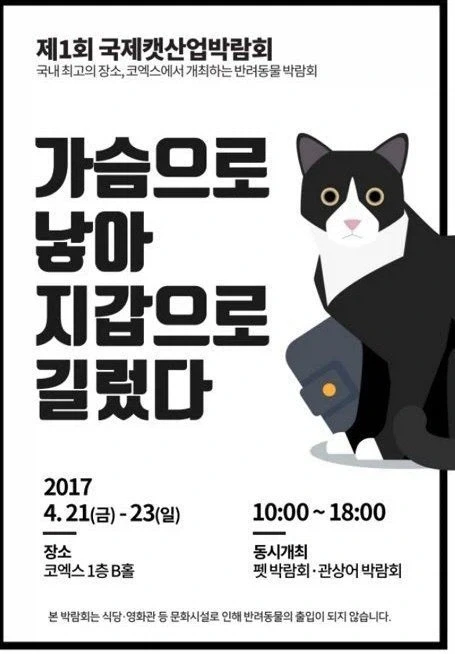 고양이 행사에 들어온 항의