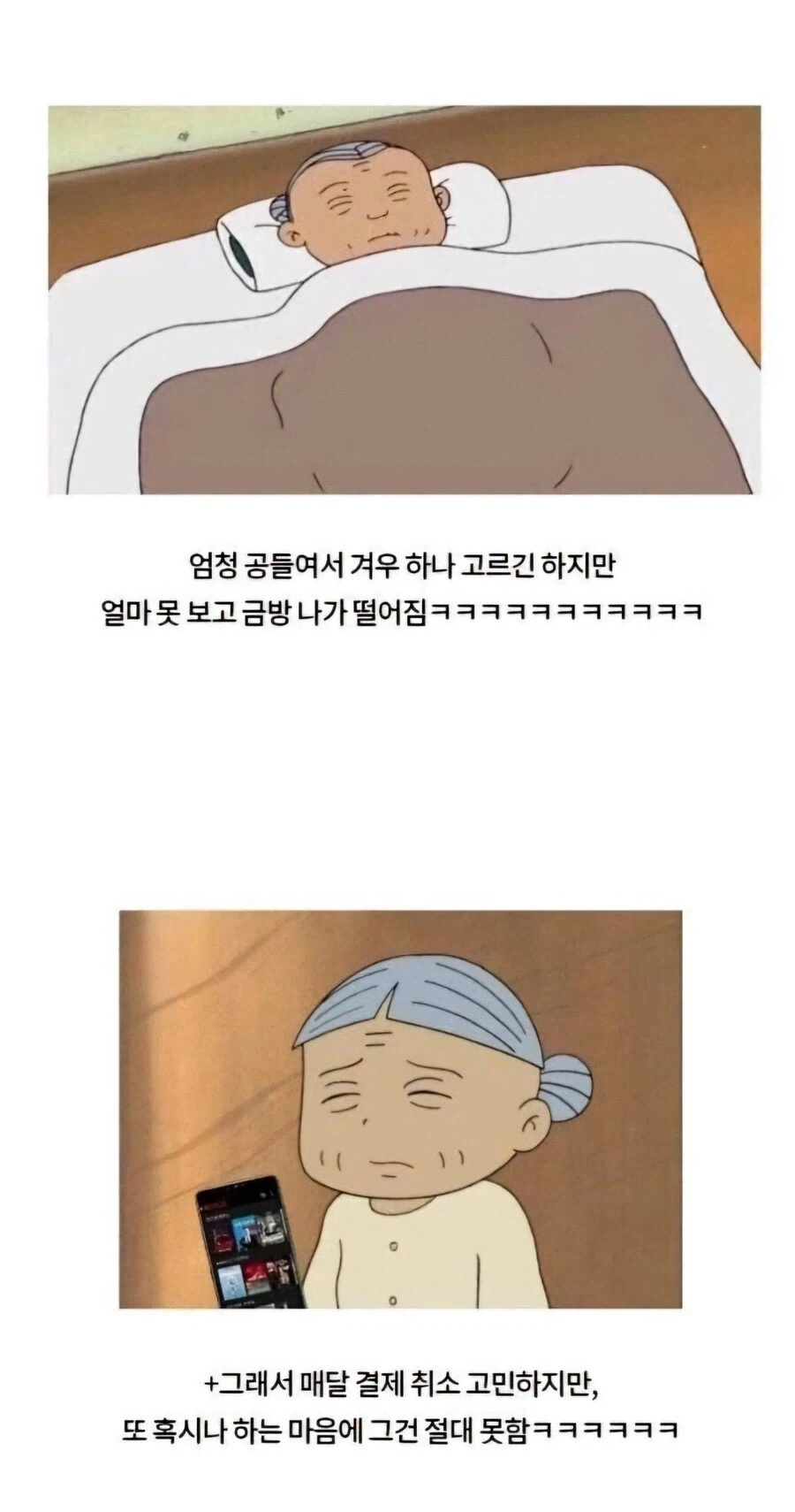 넷플릭스 결제하고 안보는 사람들 특징 - 이미지 2