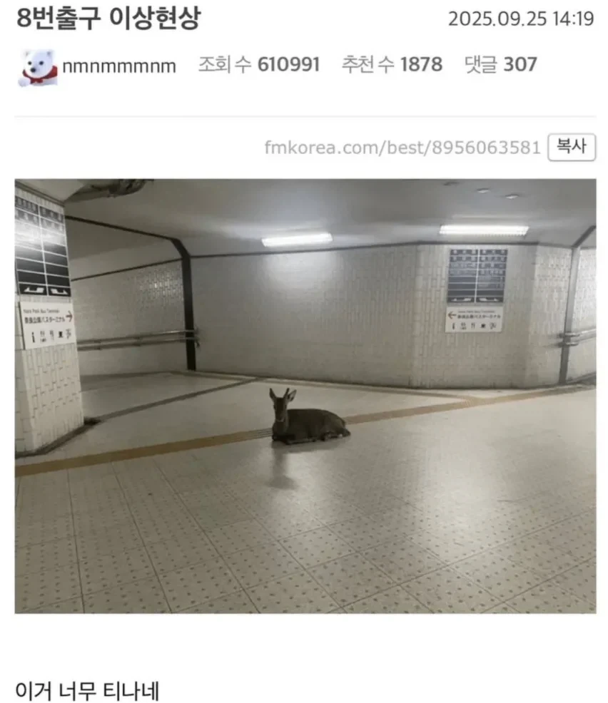 8번출구 이상현상.