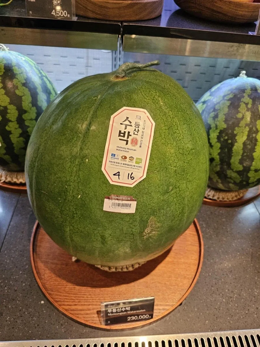 한국인들 수박 비싸서 못사먹는다며?ㅋㅋㅋ