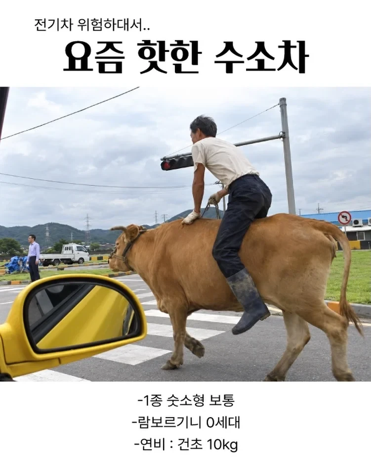 전기차는 화재 위험 있대서 수소차 뽑음 ㅎㅎㅎ