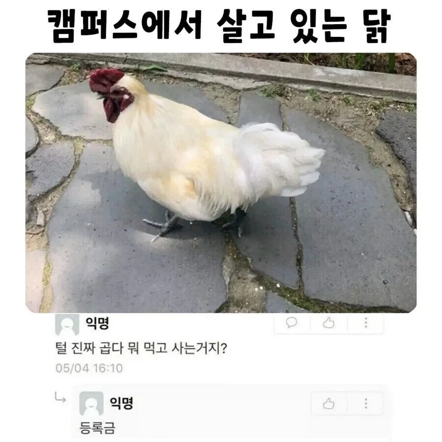 " 등록금을 마시는 새 "