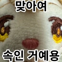님드라 이거 정말 한국에서 대인기 맞아?? - 이미지 2