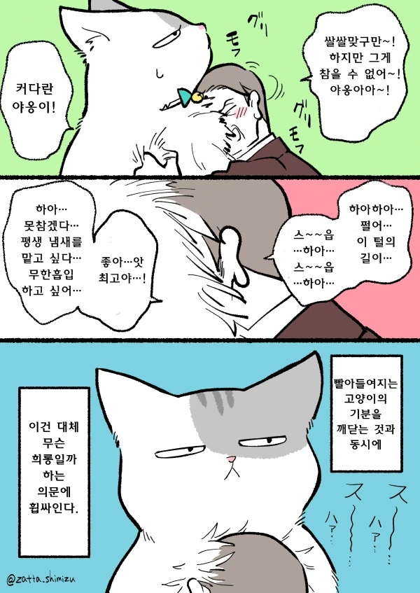 자고 일어나니 고양이 된 만화 - 이미지 2