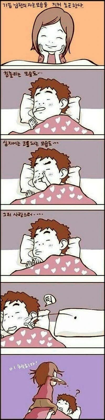 훈훈한 아내 만화