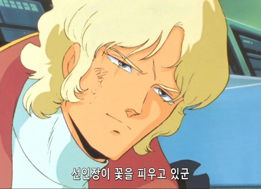 선인장이..꽃을 피우고 있군.manga