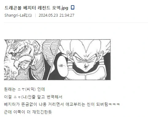 베지터 관련 오역이었던거