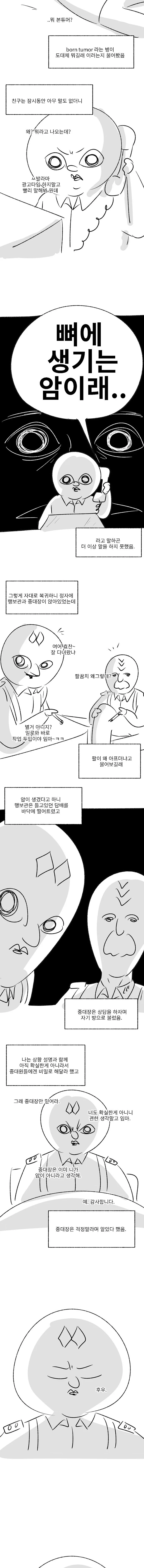 군시절, 본튜머 이야기.(썰 만화) - 이미지 3