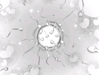 ㅂㅈ오크랑 ㅂㅈ엘프가 숲속 별장에서 존나게 쉑스함.manga - 이미지 5