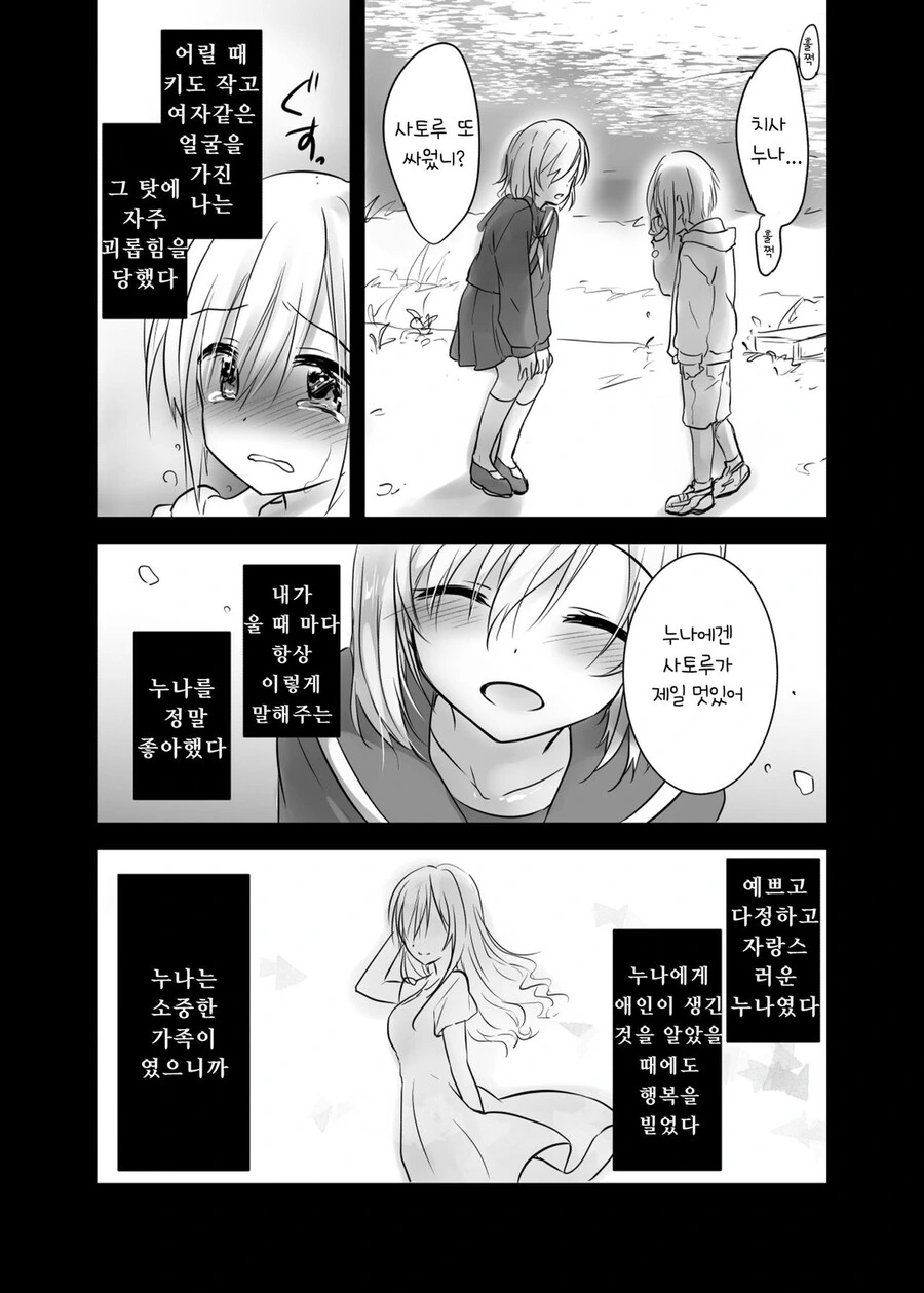 ㅎㅂ) 누나에게 남자친구가 생긴 만화