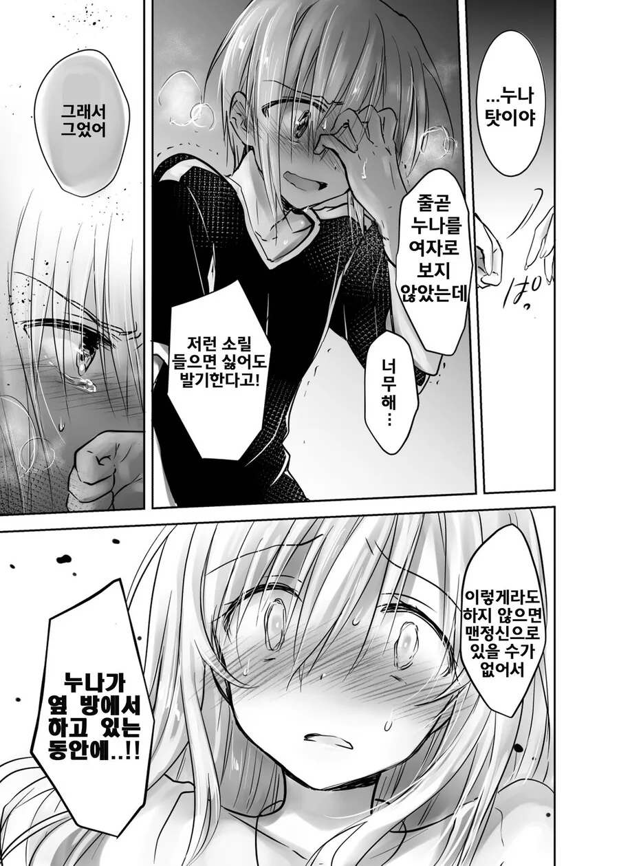 ㅎㅂ) 누나에게 남자친구가 생긴 만화 - 이미지 12
