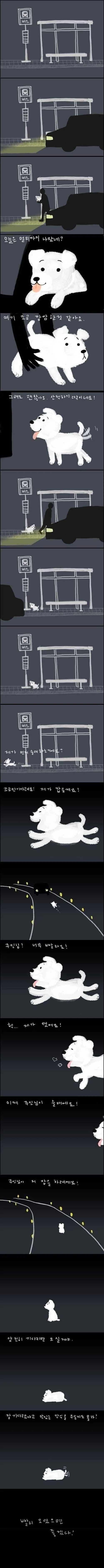 버려진 강아지의 마음 .manwha