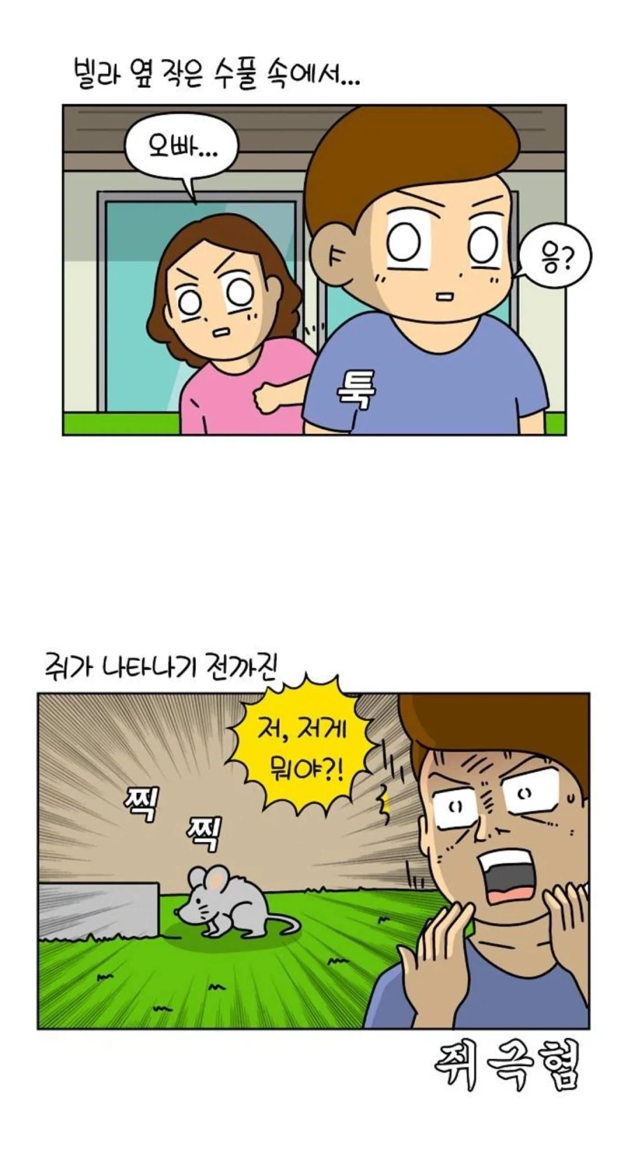 동남아 풀빌라에서 쥐가 나온 만화 - 이미지 2