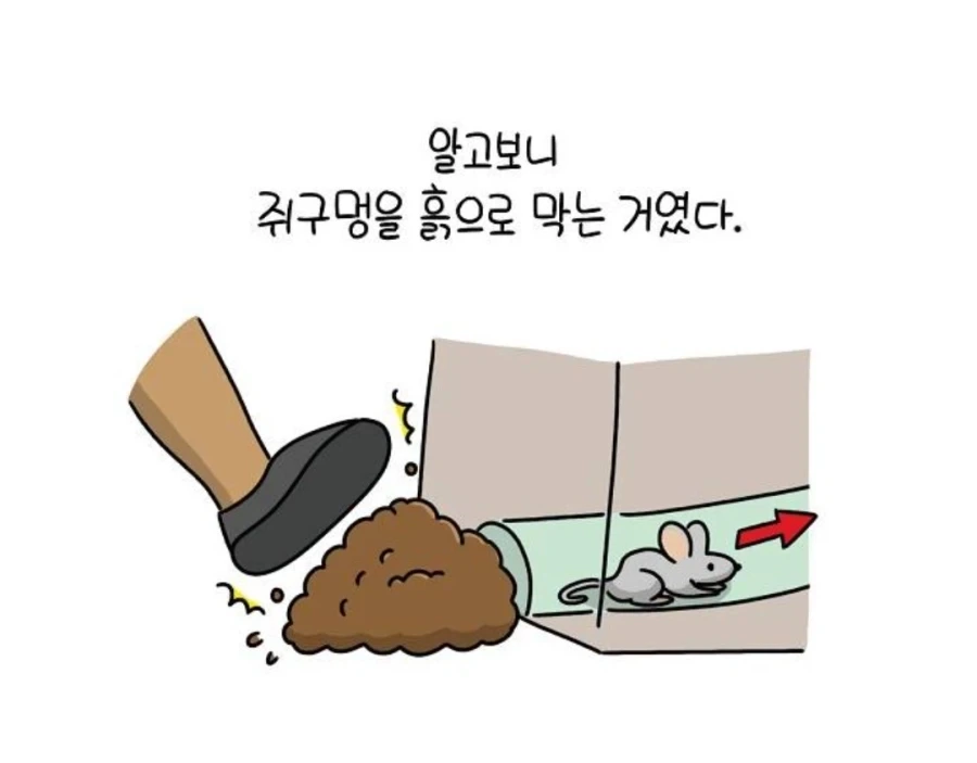동남아 풀빌라에서 쥐가 나온 만화 - 이미지 5