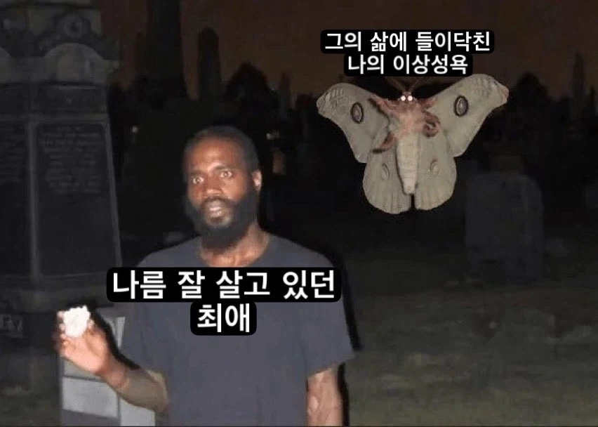 이상성욕이 나의 최애를 덥치는 과정