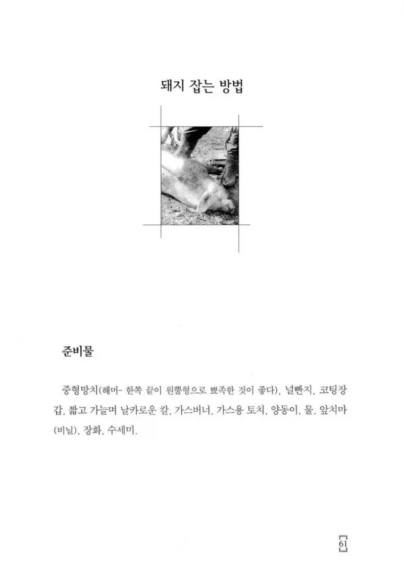 내손으로 만드는 수제 햄 소시지 - 이미지 2