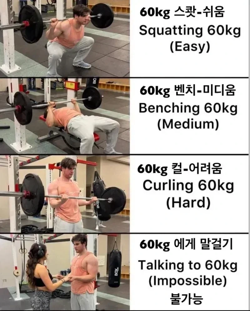 헬스 운동별 60kg 중량 체감