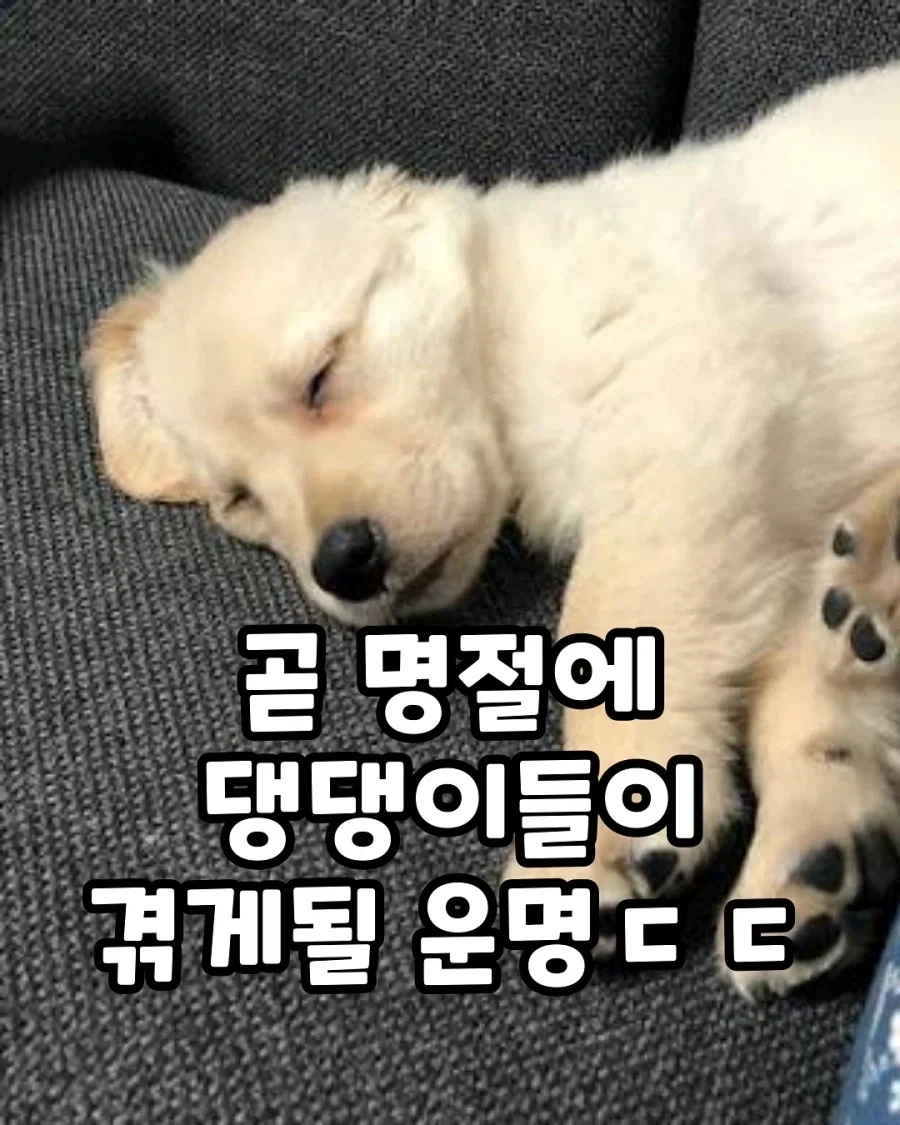 명절이 되면 가장 고생하는 분들