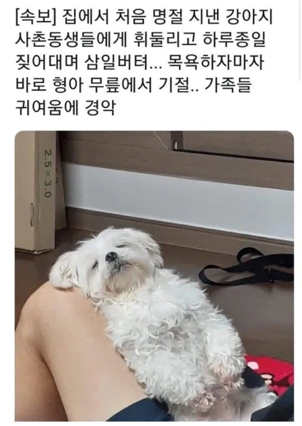 명절이 되면 가장 고생하는 분들 - 이미지 2