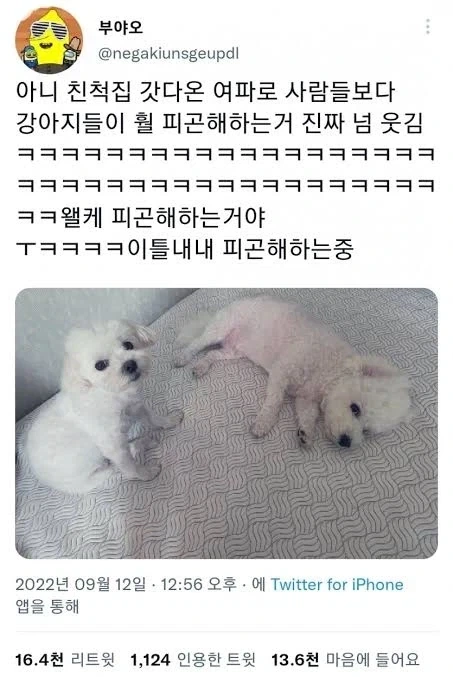 명절이 되면 가장 고생하는 분들 - 이미지 3