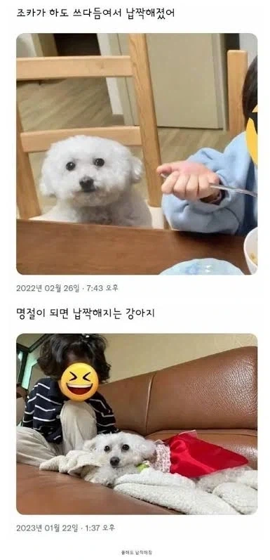 명절이 되면 가장 고생하는 분들 - 이미지 4