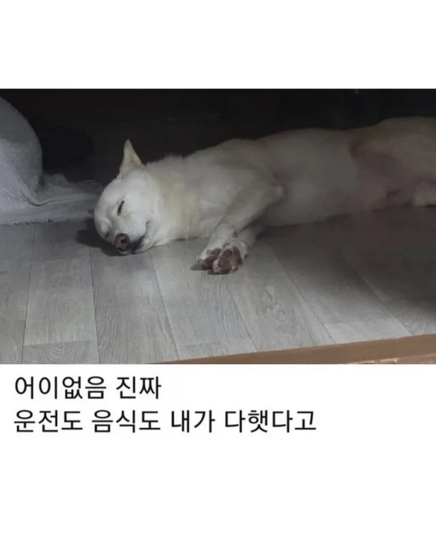 명절이 되면 가장 고생하는 분들 - 이미지 5