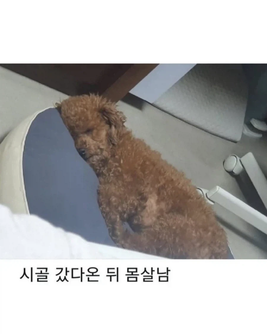 명절이 되면 가장 고생하는 분들 - 이미지 6