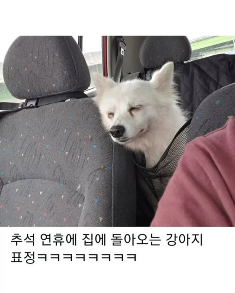 명절이 되면 가장 고생하는 분들 - 이미지 7