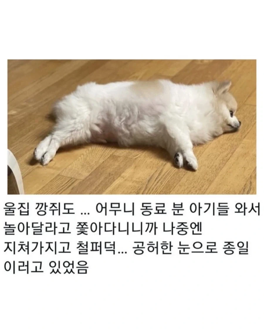명절이 되면 가장 고생하는 분들 - 이미지 8