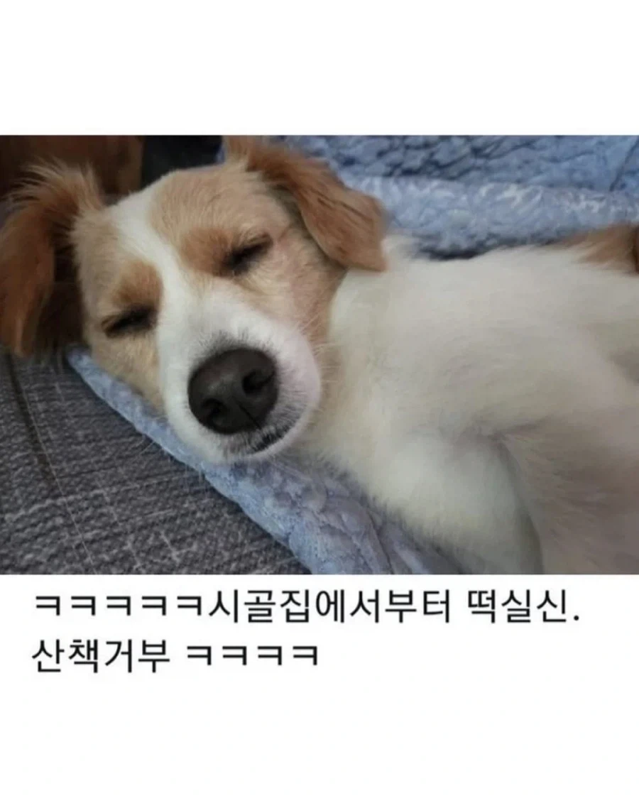 명절이 되면 가장 고생하는 분들 - 이미지 9