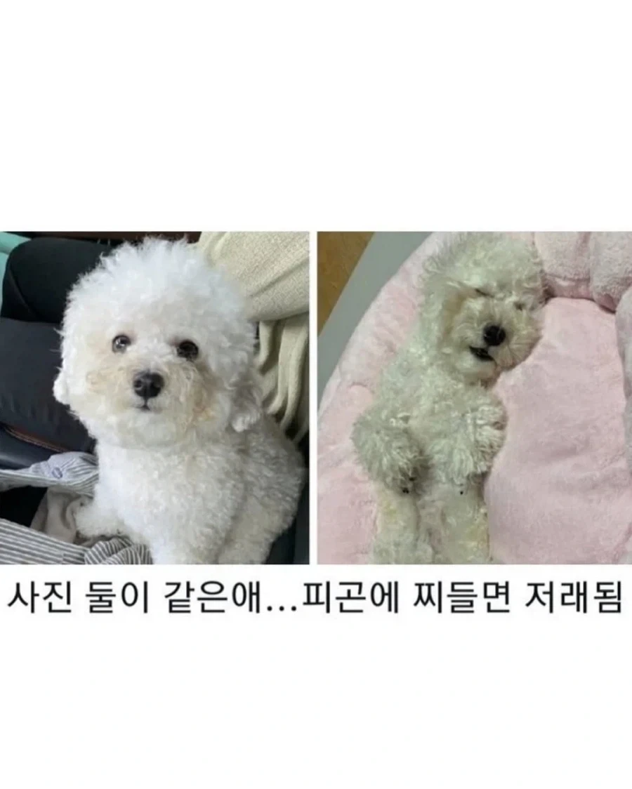 명절이 되면 가장 고생하는 분들 - 이미지 10