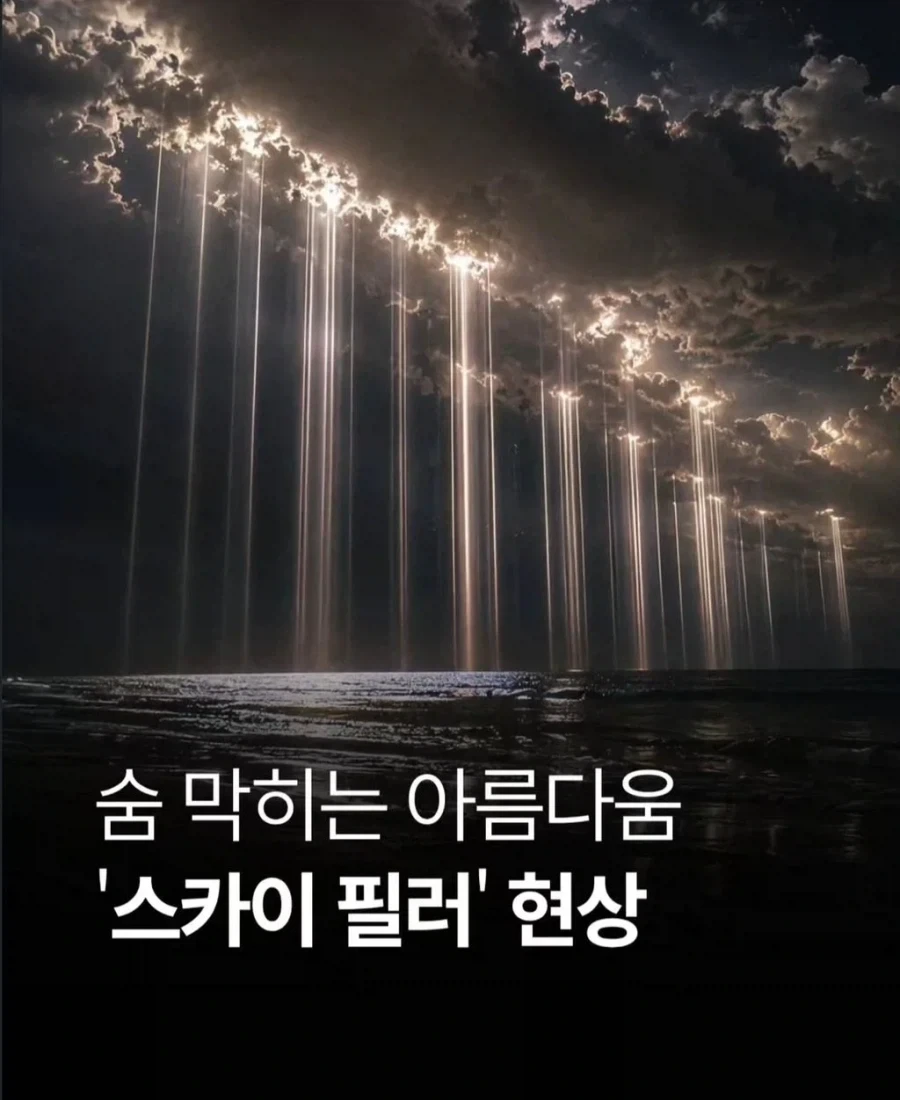 스카이 필러 현상