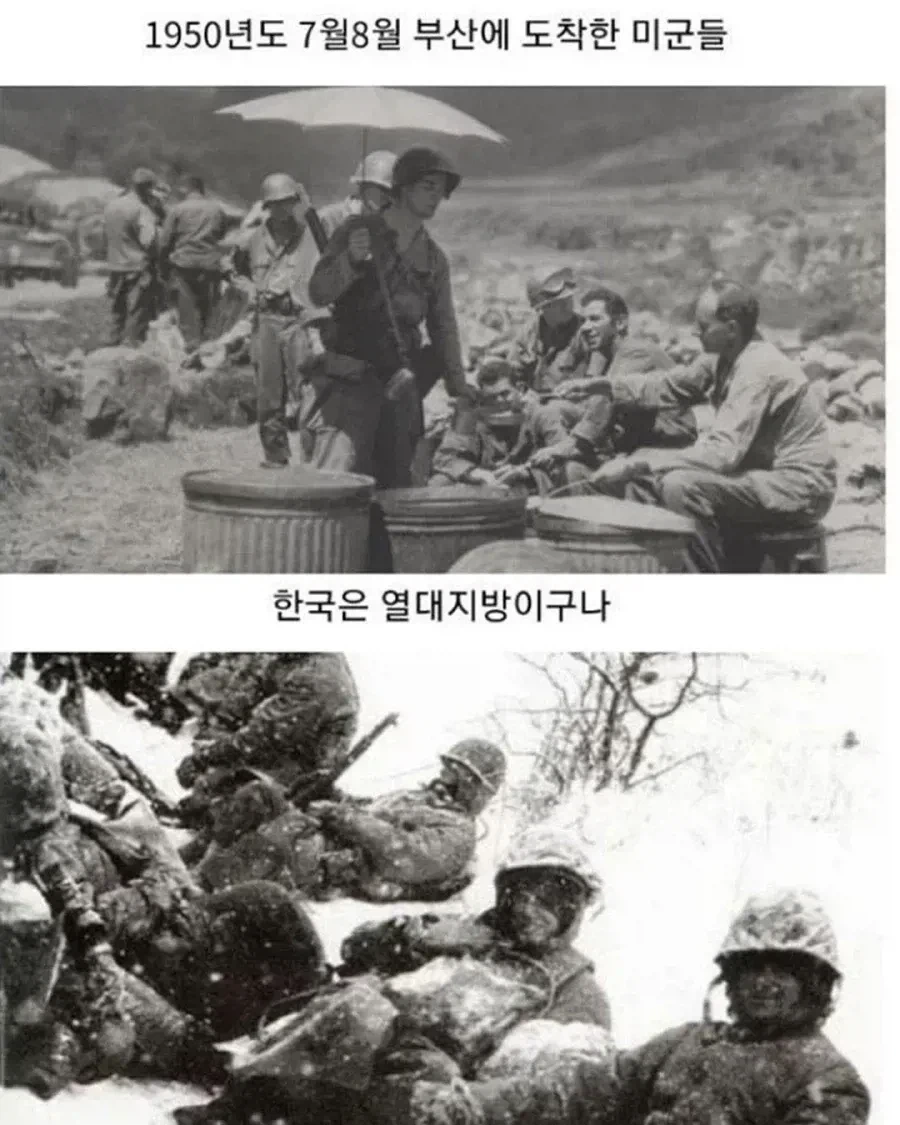 ???:한국은 열대지방이구나