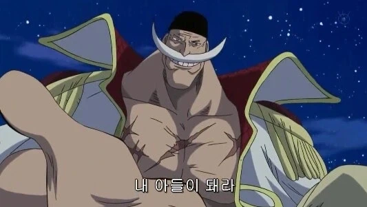 원피스 에이스를 이 악물고 봐주던 센고쿠 - 이미지 7