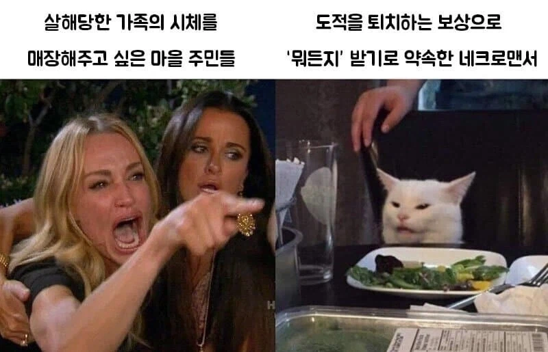 가족을 살해한 도적을 퇴치해준 네크로맨서